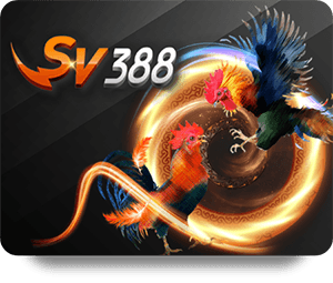 Unlock Exclusive Bonuses with BK8 Live Dealer Hot Promotions
